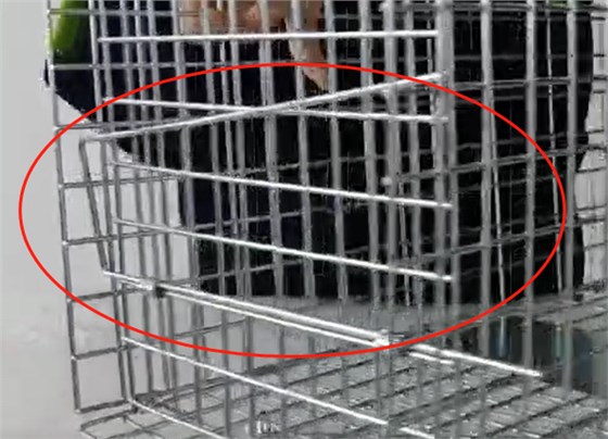 景隆流動(dòng)貓救助籠捕貓籠