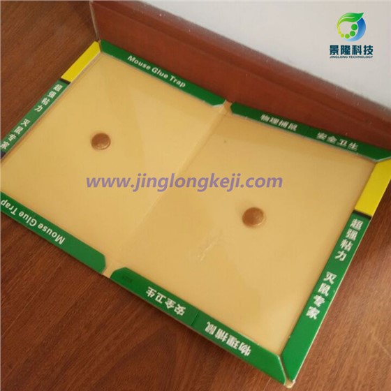 老鼠貼廠(chǎng)家批發(fā)